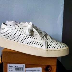 NEW - Oasis Socety Sneakers